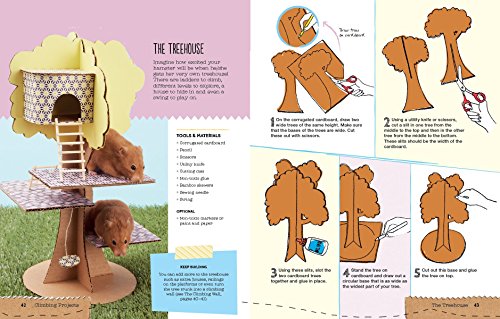 image for Firefly Books Homemade for Hamsters: Over 20 Fun Projects Anyone Can M