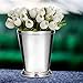 Klikel Mint Julep Cup Classic Beaded Trim Border Moscow Mule Kentucky Derby Julep Set of 2 – Stainless Steel 12oz