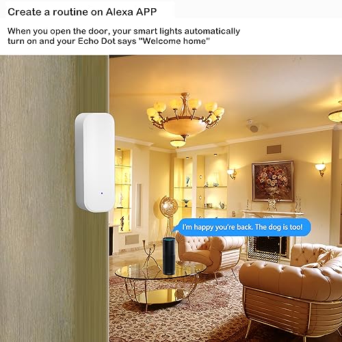 WiFi Door Sensor, Smart Window Door Sensor, Alexa Door Window Contact