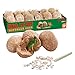MindWare Dig It Up! Set of 3: Dinosaur Eggs, Big Bugs, and Minerals Excavation kit