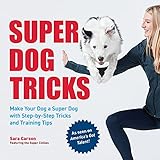 Super Dog Tricks: Make Your Dog a Super Dog with