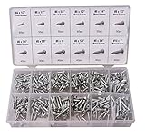 Cartman 550pc Self Tapping Screw Assortment