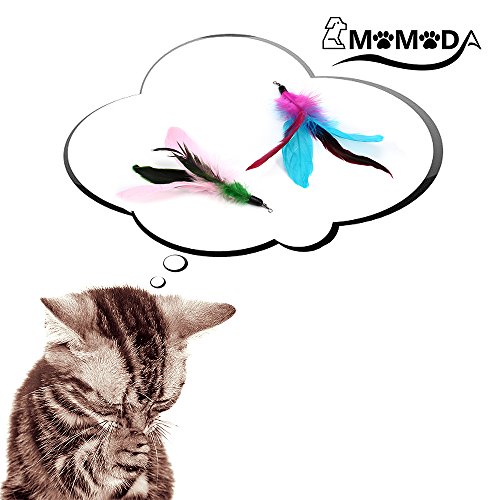 Cat Feather Teaser Toys, MOMODA Surprise 8 Pack Feather Cat Refills, Perfect Interactive Cat Wand Toys for Cat and Kitten Exercise