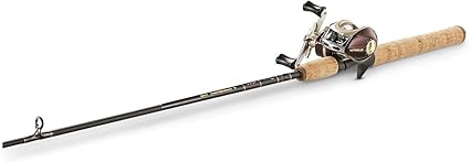 quantum rod and reel combo baitcast