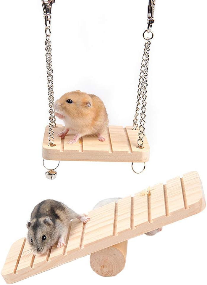 hamster on a swing