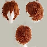 S-noilite® Cosplay Curly Hair Tail Full Wigs Short Wig Women/men Wig UPS Post