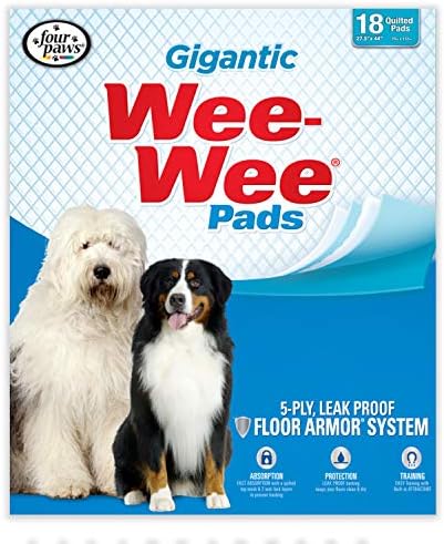 early signs of parvovirus