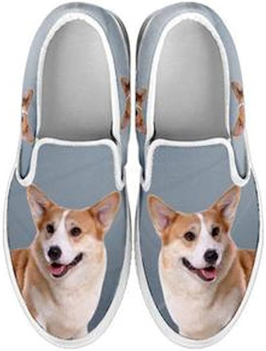 shoes for corgis