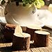 Haperlare 10pcs Wooden Table Number Holders Wooden Place Card Holder Wooden Wedding Card Holder Made of Natural Hardwood Wooden Card Holder for Home Birthday Party Rustic Wedding Decorations (type1)