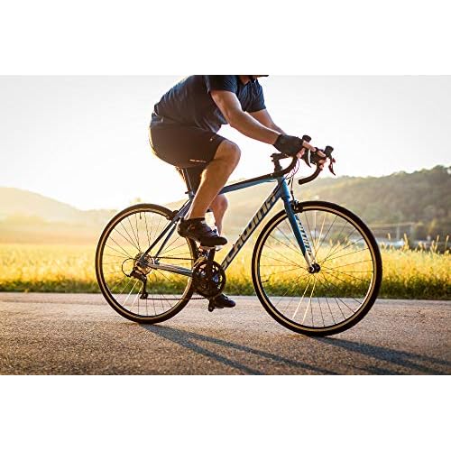 schwinn fastback al 105