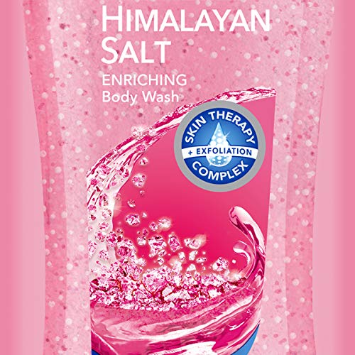 Dial Body Wash, Himalayan Salt, 21 Ounce (Pack of 4) - //coolthings.us