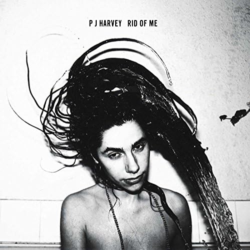 PJ Harvey - B-Sides, Demos & Rarities[6 LP Box Set] - Amazon.com Music