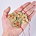 Pangda 5 Sets Chinese Coins Fortune Coin Feng Shui Coins Lucky Coins I-Ching Coins with Red String