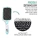 Wet Brush Cactus Flower Paddle Detangler-Detangling Knots, Heat-Resistant Bristles, Blowout Styling, No Split-Ends & Hair Breakage, All Hair Types, Floral Succulent Prints
