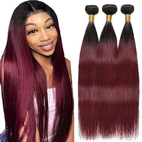 AiPliantfis Straight Bundles Human Hair Cabello Human Human Hair Extensions de Pelo Humano 1B99J Ombre Burgundy Double Weft 3 Bundles 20 22 24 Pulgada