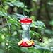 Perky-Pet 131TF 16-Ounce Glass Top Fill Hummingbird Feeder, Red