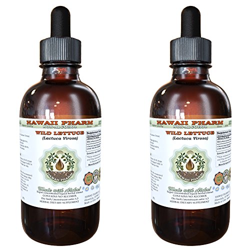 Wild Lettuce Alcohol-FREE Liquid Extract, Organic Wild Lettuce (Lactuca Virosa) Dried Herb Glycerite 2x2 oz