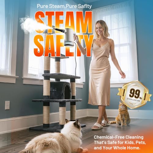Hand Steam Cleaner, Steam Cleaner, 650 ml Water Tank Steam Cleaner and 11-Piece Accessory Set for Removing Dirt and Grease