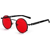 EYLRIM Round Steampunk Sunglasses Hippie Circle Glasses Gothic Metal Frame 100% UV Blocking Lens