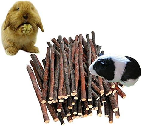 SAHNTU 500g (17.6oz) Apple Sticks Pet Snacks Chew Toys for Guinea Pigs Chinchilla Squirrel Rabbits Parrot hamster degus gerbil ( About 140 - 150 Sticks )