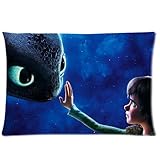How to Train Your Dragon Custom Zippered Pillow Cases 20