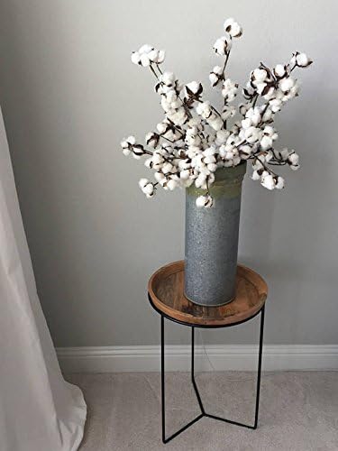 Natural Cotton Stems - Set of 3 Stems - 26 Inches Tall - Fixer Upper Style Rustic Home Decor Vintage Floral