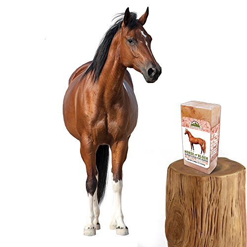 Himalayan Nature 100 Natural Himalayan Rock Salt Block Mineral Salt