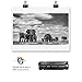 Pack Compatible Toner Cartridge Replacement For 1 Pack
