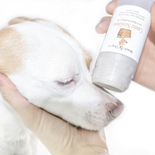 Beach & Dog Co Canine Sunscreen - Zinc Oxide Free - All Natural and Organic Formula for Dogs (2 oz Twist Stick)