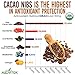 Alovitox Cacao Nibs With Organic Yacon Syrup | Healthy Protein Bite Snack (Raw, Non-GMO, Sugar Free, Keto, Paleo, Gluten Free & Vegan) | Antioxidant With Criollo Chocolate Extracts | 8 Oz