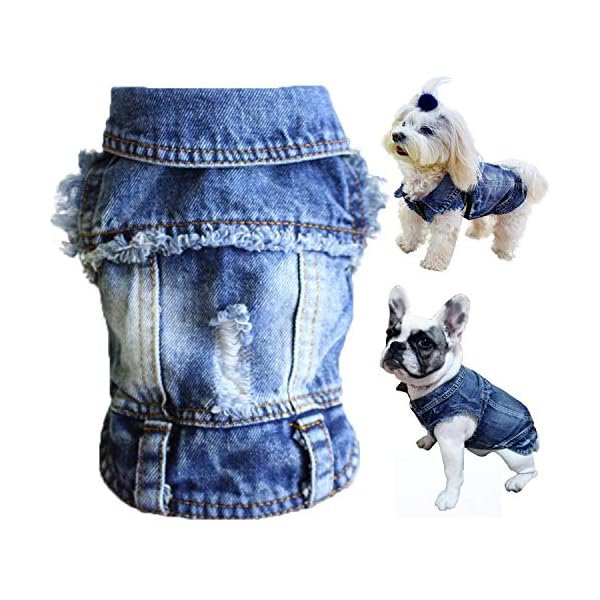 small dog denim jacket