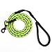Puppy Leash, 6 Feet Long Chewing Resistant Dog Leash with Comfortable Handle for Medium and Large Dogs