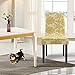 Homluxe Printed Spandex Stretch Dining Room Chair Slipcovers (2, Gold Tree)