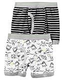 Carter's Little Boys' Boxer Brief 2-pack (2-3T, Dino 2)