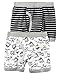 Carter's Little Boys' Boxer Brief 2-pack (2-3T, Dino 2)