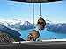 Kool Collectibles Skull Mirror Danglers Chains Awesome Race Accessory Zombie