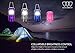 LED Lantern, Ultra Bright Camping Lantern for Hiking, Emergencies, Hurricanes, Outages, Storms, Camping and Multi Purpose (Red and Purple, 2 Pack)