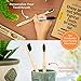 Natural Charcoal Bamboo Toothbrushes (Pack of 5) for Adults with Soft Bio-Based Nylon Bristles - Individually Packed & Numbered, Organic Compostable Plastic Free Packaging