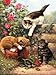 Royal Brush PJS52 PAINTBYNUMBER Junior Kittens at Play, Multicolor