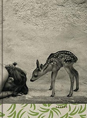 Amazoncom Summer Of The Fawn 9783868288957 Alain - 