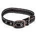 Max and Neo MAX Reflective Metal Buckle Dog Collar - We Donate a Collar to a Dog Rescue for Every Collar Sold (Large, Black)