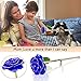 AGM 24k Gold Rose, Real Rose Flower Dipped in Gold with Stand in Gift Box, Gift for Mother's Day, Valentine's Day, Wedding Day, Home Decor(Blue)
