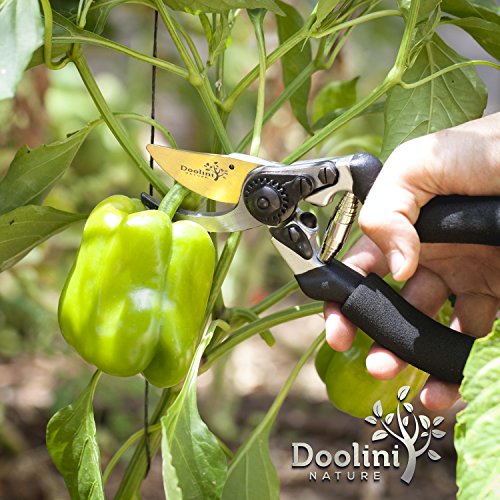 Titanium - Coated Bypass Pruning Shears by Doolini Nature, with Advanced Ergonomic Design - Free Bonus Soft Ergonomic Handles - Image 7