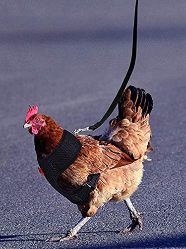 tanbea-DE Verstellbarer Hühnerbaum HühnerwesteGurte Mit Der Leine Atmungsaktive Haustierweste EnteKleidung Geflügel Hen… – Bild 3