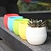 Mkono 4 Inch Small Succulent Planter Colorful Plastic Plant Flower Pots Set of 5, Mixed Color