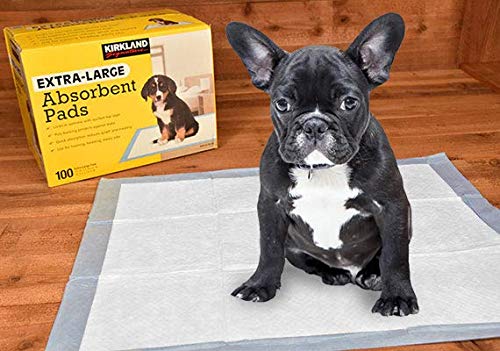 extra large absorbent pads