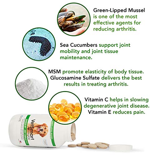 VetSmart Formulas Advanced Hip + Joint Complex with Green-lipped Mussel - Veterinarian Strength Dog Joint Pain Relief - 3 Bottle Pack - Thumbnail 4