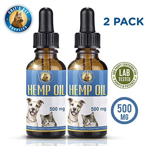 Hemp Oil for Dogs and Cats The Perfect Hemp for Dogs with Anxiety and Mobility Issues Updated