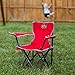 logobrands NCAA Notre Dame Fighting Irish Toddler Chair