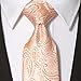 KissTies Mens Peach Tie Formal Necktie Paisley Ties + Gift Box